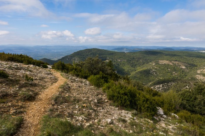 Languedoc-Roussillon 