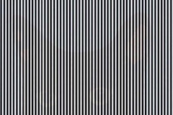 Illusion D Optique Saurez Vous Trouver L Animal Cache Sur Cette Image