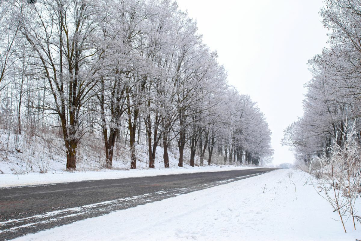 Neige : Où Va-t-elle Tomber Ce Week-end ? Les Départements Concernés