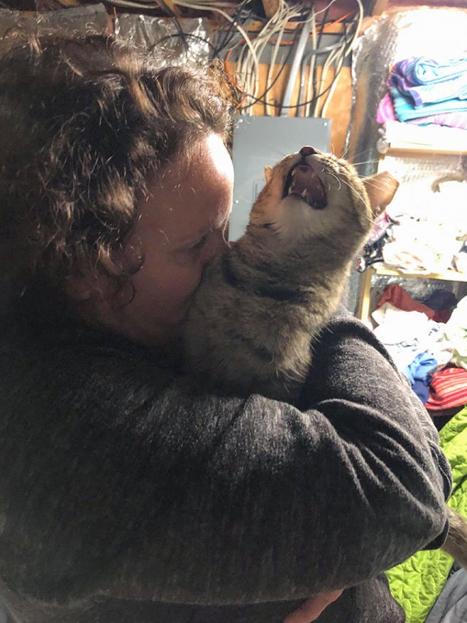 Ce chat n'a pas l'air d'apprécier les câlins de sa propriétaire.