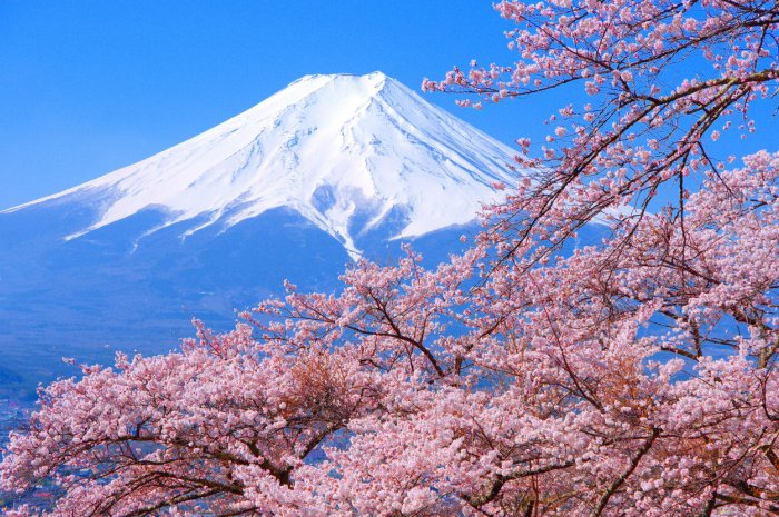 2/ Le Mont Fuji au Japon est un volcan