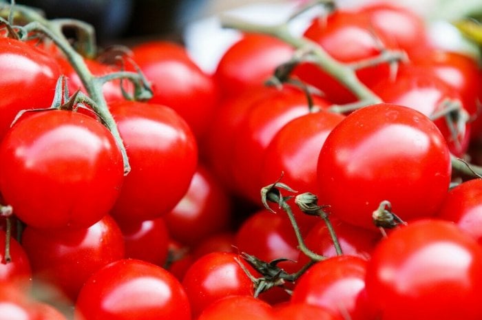 Pénurie tomates Espagne