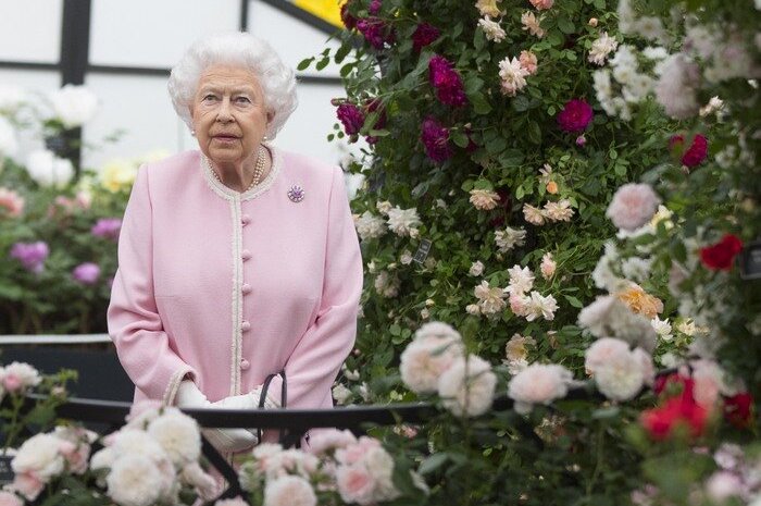 3° Comment se prénomment les quatre enfants d'Elisabeth II ?