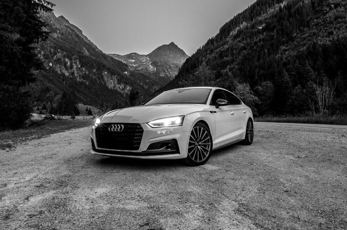 9e. Audi A5 : 6,9% de fraude