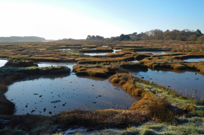 50 000 euros pour le marais de Kerdual dans le Morbihan 