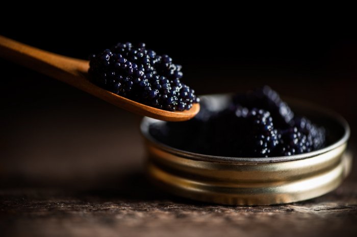 6 - Le caviar