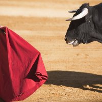 Faut-il interdire la corrida ?