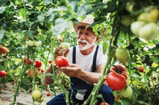 TEMOIGNAGE. "A 75 ans, voici mes astuces pour jardiner sans me fatiguer"