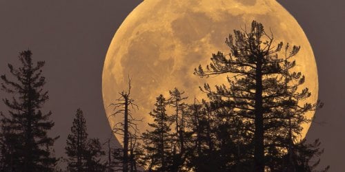 Pleine lune le 15 décembre : né sous ce signe ? Prenez soin de vous! 