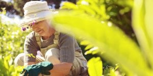 Aide pour l'entretien du jardin : L'APA peut-elle financer vos travaux de jardinage ? 