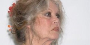 Aidez Brigitte Bardot à retrouver son chat... et gagnez 600 euros ! 