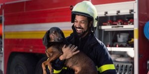 Vente de calendriers : combien donner aux pompiers cette année ?