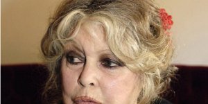 Abattoir de Vigan : Brigitte Bardot ne veut plus que Stéphane Le Foll soit Français 