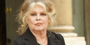 Brigitte Bardot, Pierre Niney… ces stars françaises se mobilisent pour la libération de Paul Watson 