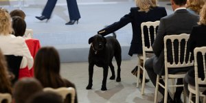 Emmanuel Macron : très proche de son chien Nemo, ce cliché attendrissant du président 