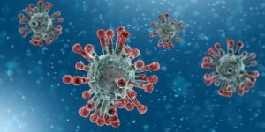Covid-19 : un nouveau virus artificiel créé pour combattre l'infection ?