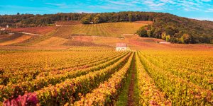 Prévisions météo : voici les premières tendances en France en septembre, octobre, novembre 