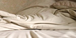 Punaises de lit en vacances : les 10 recoins à inspecter dans votre location