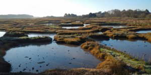 Patrimoine : les 12 nouveaux lauréats du programme “Patrimoine naturel et Biodiversité” dévoilés 