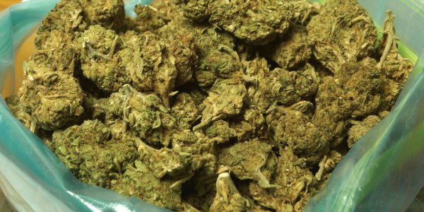 Marseille : une erreur de valise et cet octogénaire transporte 11 kilos de cannabis