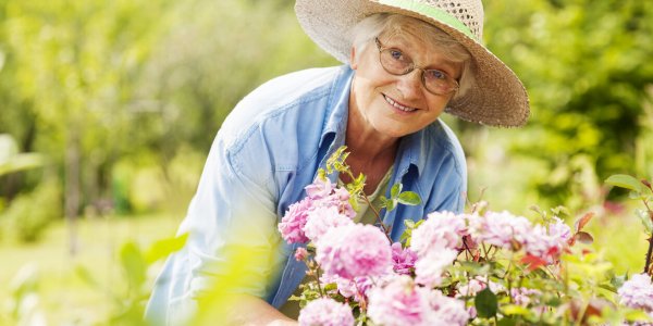 Jardin : comment l'entretenir au mois d'août ? Interview d'un expert