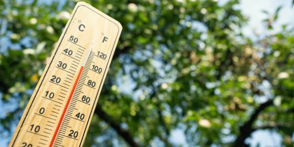 Alerte canicule : voici les 6 départements concernés 