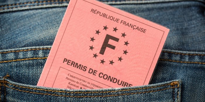 permis de conduire