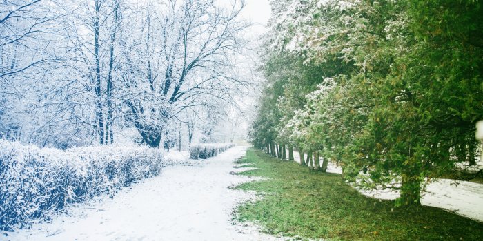 Météo De L'hiver : En A-t-on Fini Avec Le Froid Et La Neige