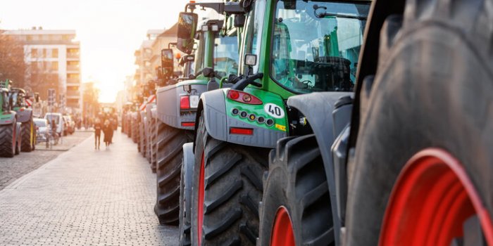 Colère des agriculteurs : vers une pénurie de certains produits pour Noël 