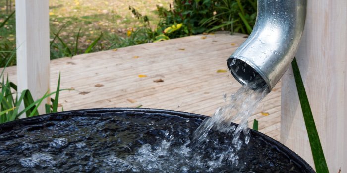 Récupération de l'eau de pluie : ces règles que vous devez respecter sous peine d'amende et de prison 