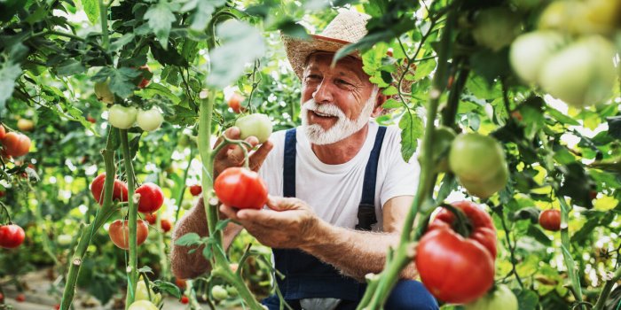 TÉMOIGNAGE. "À 75 ans, voici mes astuces pour jardiner sans me fatiguer"