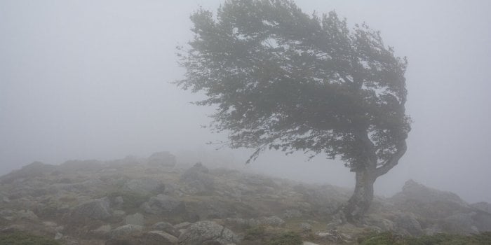 Après Kirk, la tempête Leslie promet de nouveaux déluges