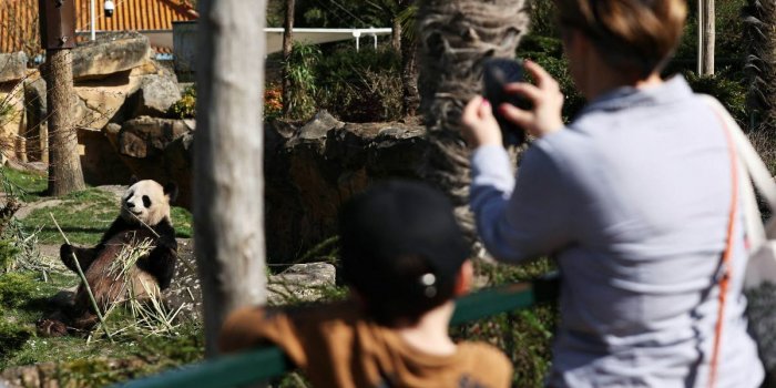 Zoo de Beauval : la réussite d'une passion familiale