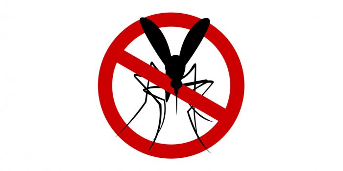 Rappel de pi&egrave;ges &agrave; insectes dangereux : les 14 cha&icirc;nes de magasins concern&eacute;es 