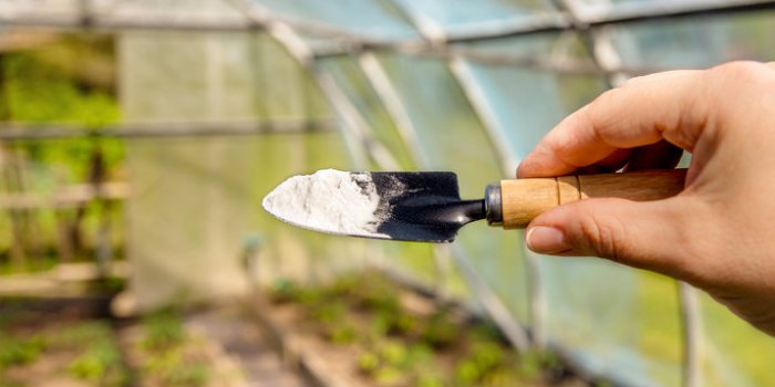 Comment utiliser le bicarbonate de soude : maison, jardin, cuisine