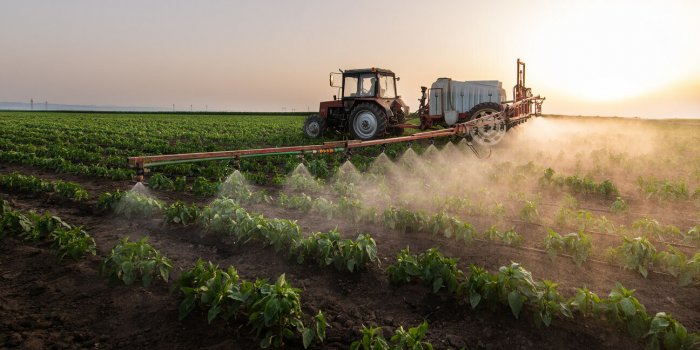 Pesticides : voici les fruits les plus contamin&eacute;s 