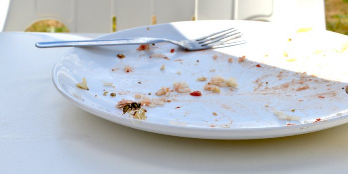 Neuf astuces 100% naturelles pour manger dehors sans &ecirc;tre envahi de gu&ecirc;pes