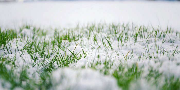 Neige Et Verglas Jusqu'à Mardi : Les Départements En Alerte