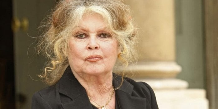 Brigitte Bardot : une vraie nuit cauchemardesque à la Madrague