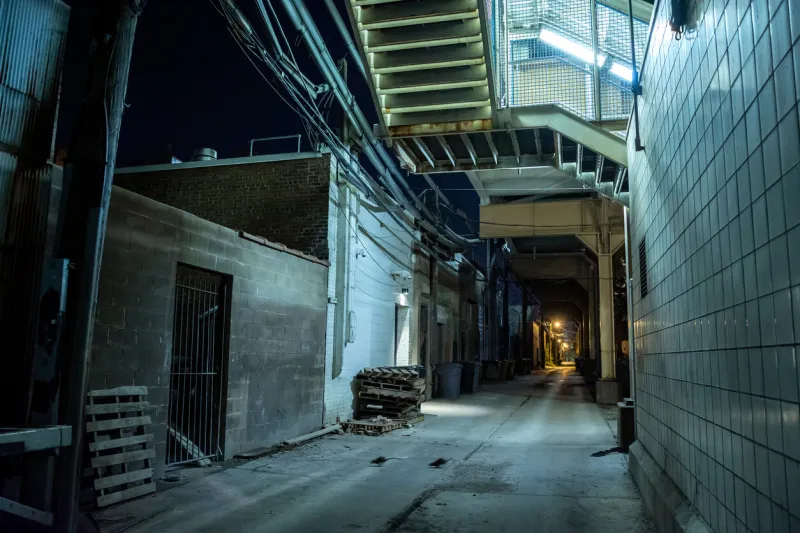 dark and eerie urban city alley at night with rats running across dark and eerie urban city alley at night with rats running across